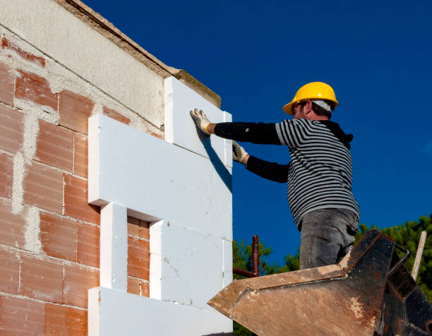 Best Insulation Maintenance and Repair in Pecos, TX